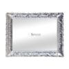 Specchio rettangolare con cornice argento - Specchi Online