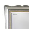 Specchi decorati